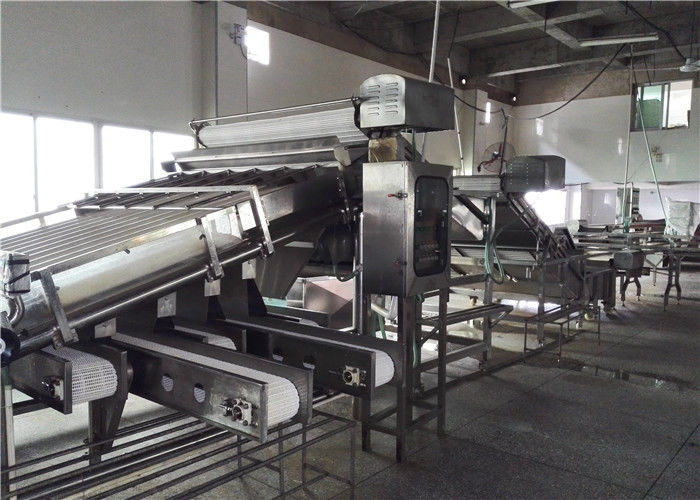 Xiamen Tongzhonghe Imp & Exp Co., Ltd. خط إنتاج الشركة المصنعة