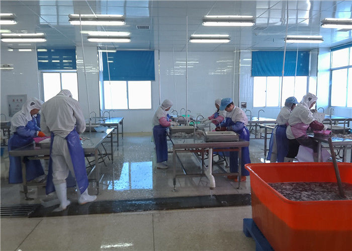Xiamen Tongzhonghe Imp & Exp Co., Ltd. خط إنتاج الشركة المصنعة